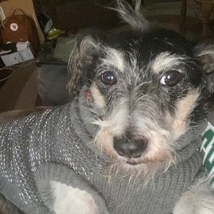 Meet your Posher, Tricia